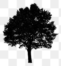 Silhouette tree png sticker on transparent background