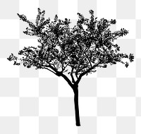 Silhouette tree png sticker on transparent background