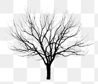 Silhouette tree png sticker on transparent background