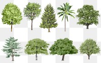 Png tree stickers, watercolor illustration set on transparent background