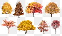 Png tree stickers, watercolor illustration set on transparent background