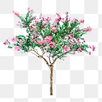 Tree png sticker, watercolor illustration on transparent background