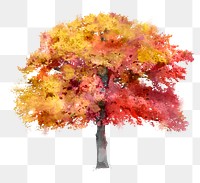 Autumn tree png sticker, watercolor illustration on transparent background