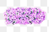 Flower bush png sticker on transparent background