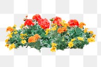 Flower bush png sticker on transparent background