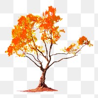 Tree png clipart, autumn watercolor illustration on transparent background