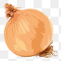 Onion png sticker, vegetable illustration on transparent background