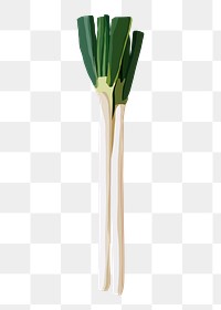 Leeks png sticker, vegetable illustration on transparent background