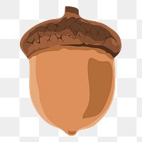 Acorn png sticker, nut illustration on transparent background