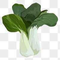 Chinese cabbage png sticker, vegetable illustration on transparent background