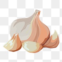 Garlic png sticker, vegetable illustration on transparent background