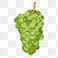 Green grapes png sticker, fruit illustration on transparent background