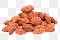 Almond png sticker, nut illustration on transparent background