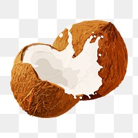 Coconut splash png sticker, fruit illustration on transparent background