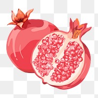 Pomegranate png sticker, fruit illustration on transparent background