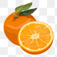 Orange png sticker, fruit illustration on transparent background