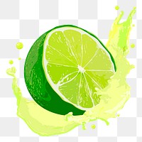 Lime splash png sticker, fruit illustration on transparent background