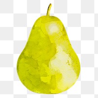 Pear png clipart, fruit drawing on transparent background