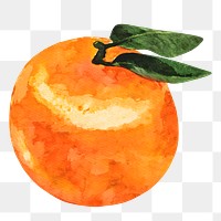 Mandarin orange png clipart, fruit sticker on transparent background