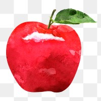 Red apple png clipart, fruit drawing on transparent background