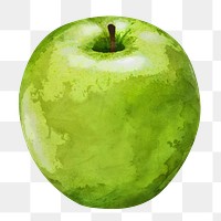 Green apple png clipart, fruit drawing on transparent background