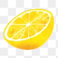 Lemon png clipart, fruit sticker on transparent background