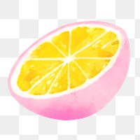 Pink lemon png clipart, fruit drawing on transparent background