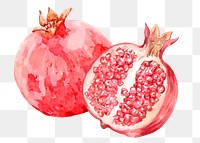 Pomegranate png clipart, fruit sticker on transparent background