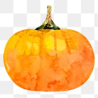 Watercolor pumpkin png sticker, aesthetic vegetable on transparent background