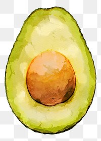 Avocado png clipart, fruit drawing on transparent background