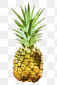 Watercolor pineapple png sticker, fruit on transparent background