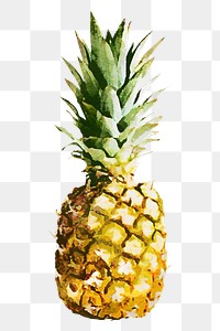 Watercolor pineapple png sticker, fruit on transparent background