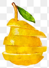 Pear png clipart, fruit drawing on transparent background