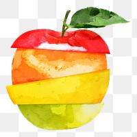 Eat variety apple png clipart, fruit drawing on transparent background