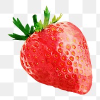 Strawberry png sticker, watercolor fruit