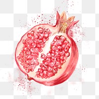 Pomegranate png clipart, fruit drawing on transparent background