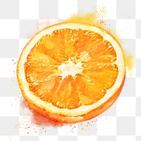 Mandarin orange png clipart, fruit drawing on transparent background