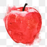 Red apple png clipart, fruit drawing on transparent background