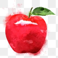 Red apple png clipart, fruit drawing on transparent background