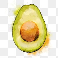 Avocado png clipart, fruit drawing on transparent background