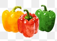 Bell pepper png clipart, vegetable drawing on transparent background