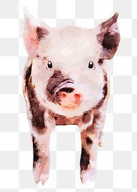 Piglet png sticker, watercolor illustration, transparent background