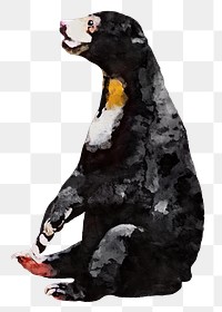 Black bear png sticker, watercolor illustration, transparent background