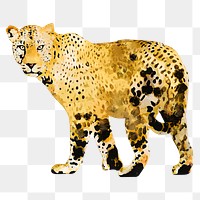 Leopard png sticker, watercolor illustration, transparent background