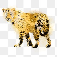 Leopard png sticker, watercolor illustration, transparent background