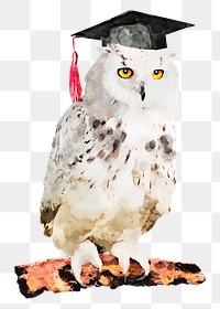 Graduation owl png sticker, watercolor illustration, transparent background