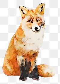 Fox png sticker, watercolor illustration, transparent background