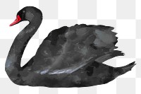 Black swan png sticker, watercolor illustration, transparent background