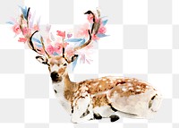 Deer png sticker, flower antlers watercolor illustration, transparent background