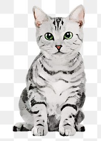 Cat png sticker, watercolor illustration, American shorthair, transparent background